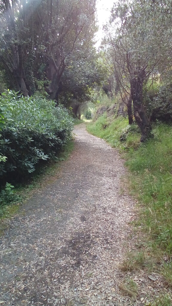 Sentieri nel parco